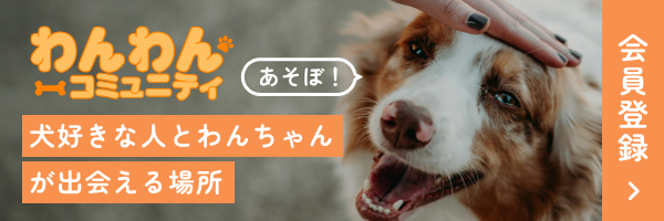 犬好きさんとわんちゃんのマッチングサイト｜わんわんコミュニティ